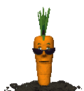 cool_carrot_md_clr_2482.gif